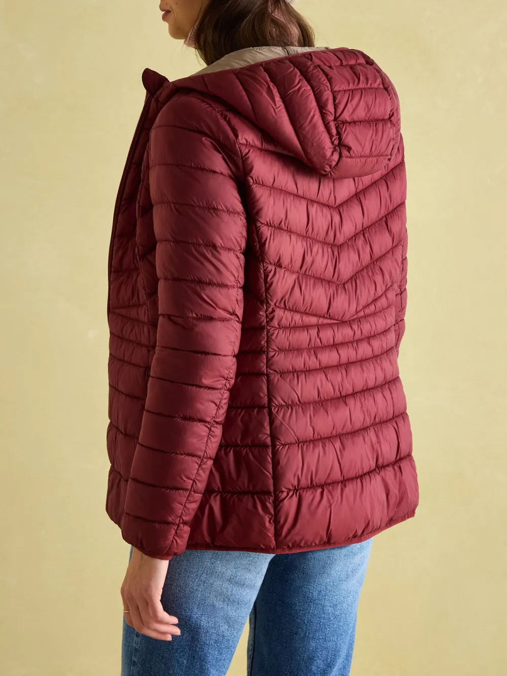 Kenley Dark Red Showerproof Padded Coat