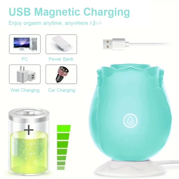 Light Green Rose Toy Vibrator Classic Sucking Vibrator 10 Frequency