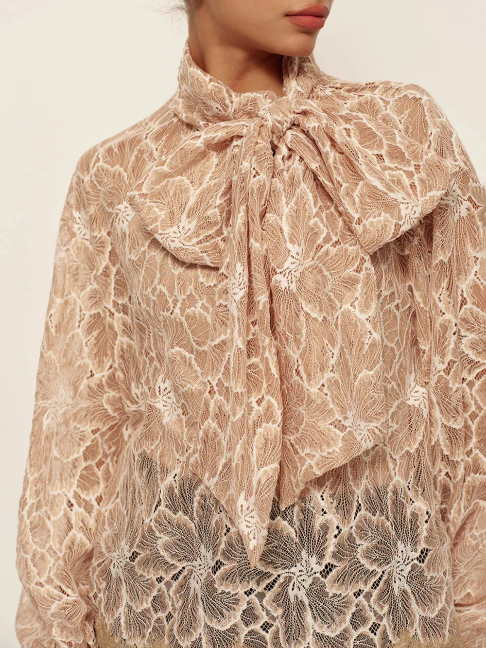 Lace Tie Neck Lantern Sleeve Blouse