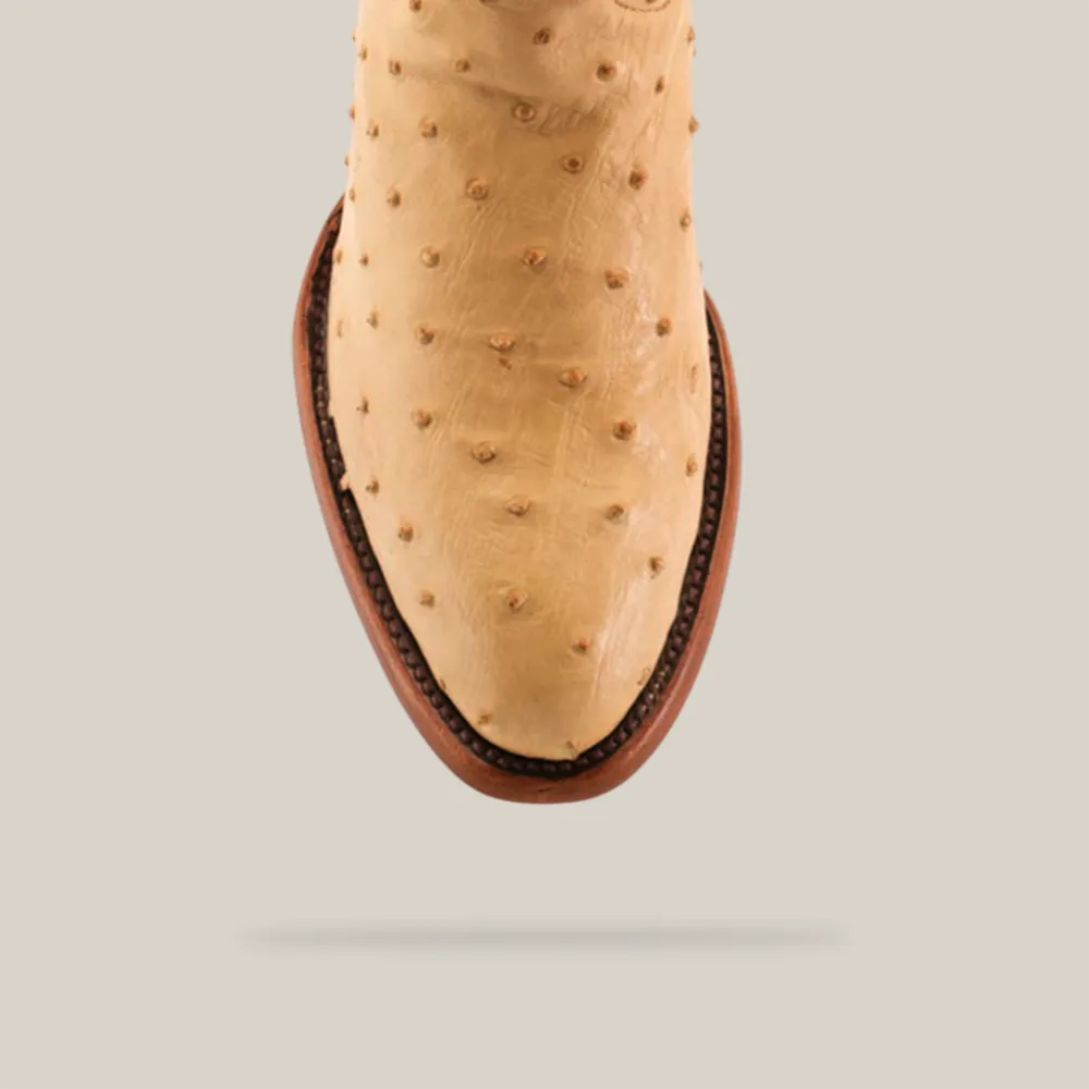 Orix - Round Toe