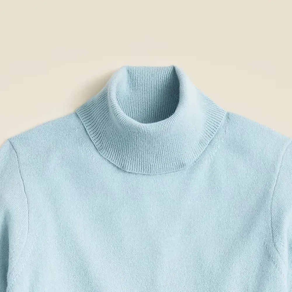 Cashmere shrunken turtleneck sweater