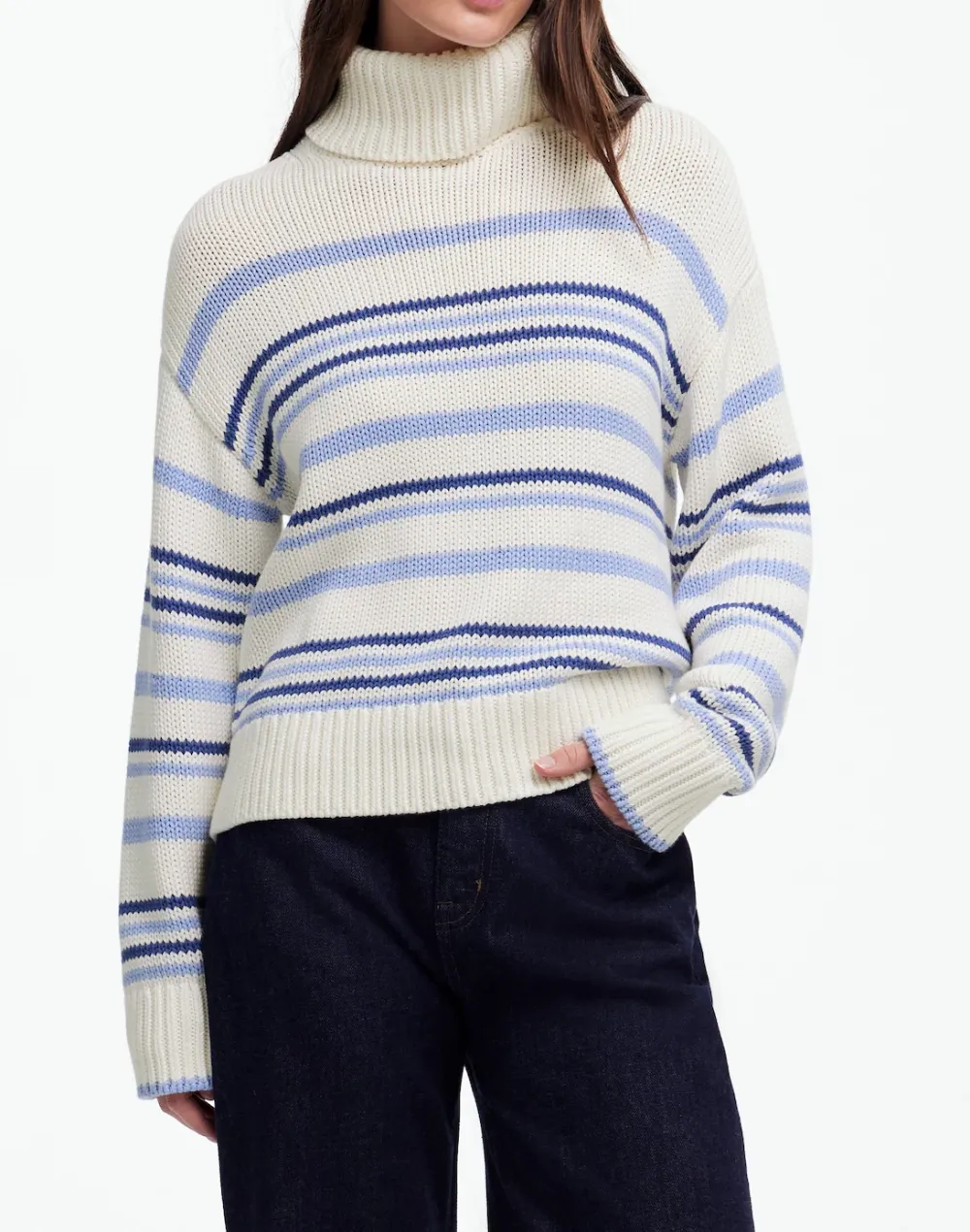 Ribbed Cotton Turtleneck Sweater in Stripe