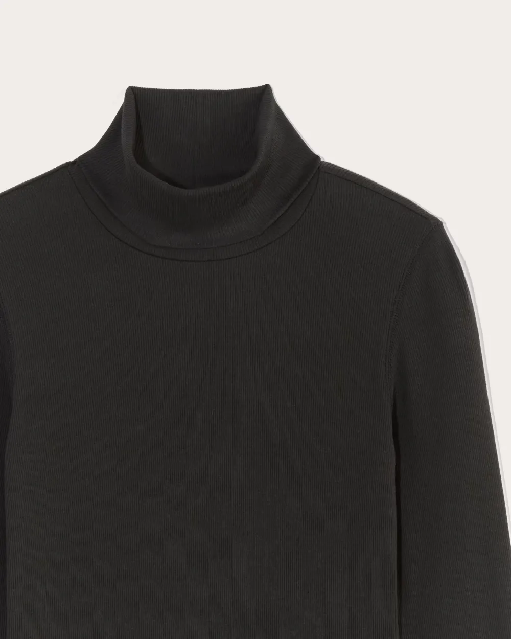 The Luxe Rib Turtleneck