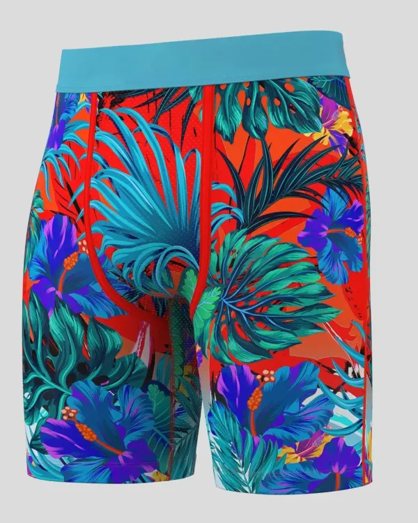 6 Pack - Tropics