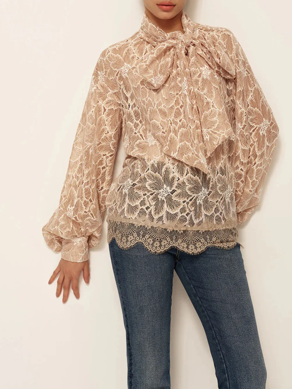 Lace Tie Neck Lantern Sleeve Blouse