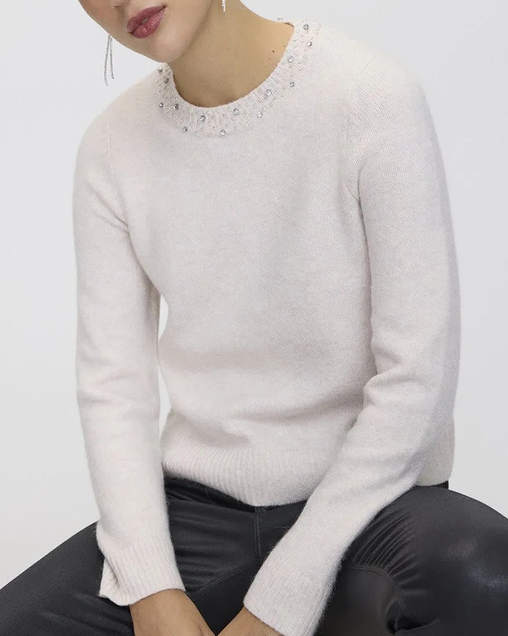 Long-Sleeve Sweater with Jewelled Crew Neckline