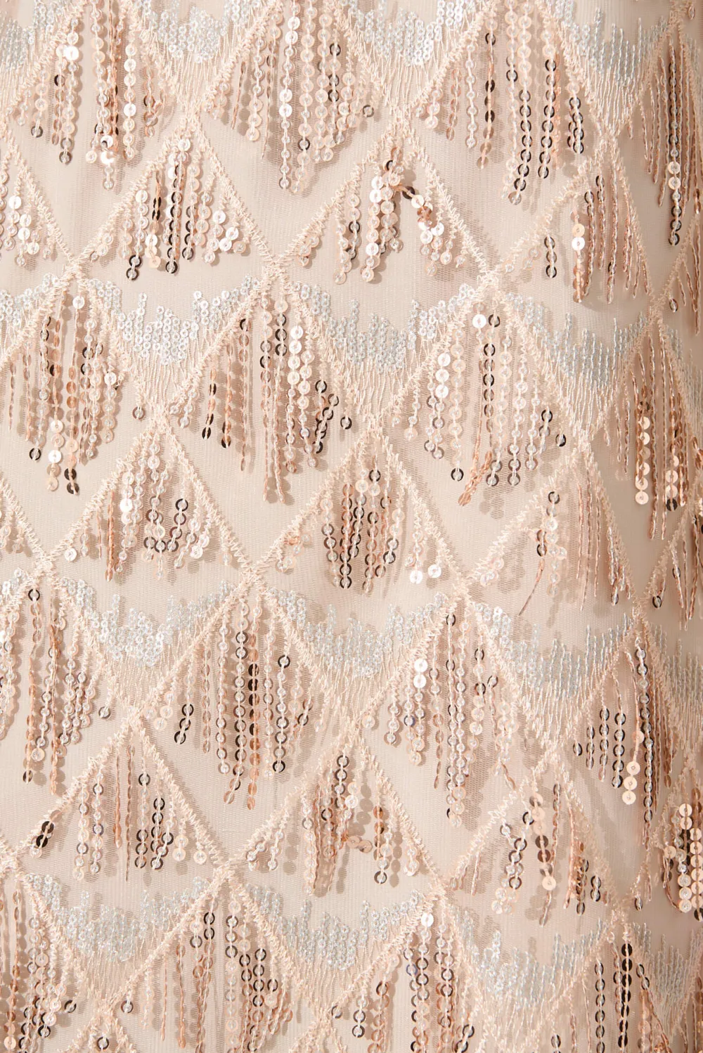 Champagne Fringe Sheer Sleeve Mini Dress