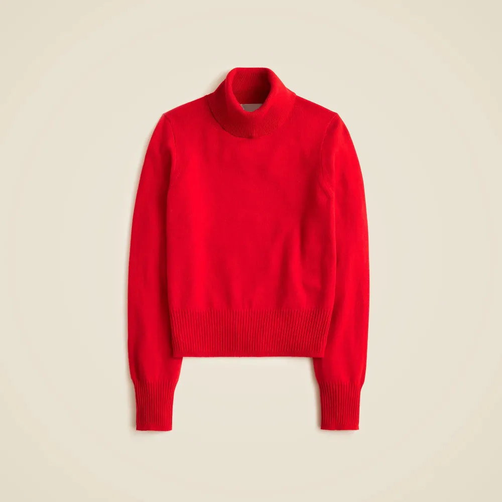 Cashmere shrunken turtleneck sweater