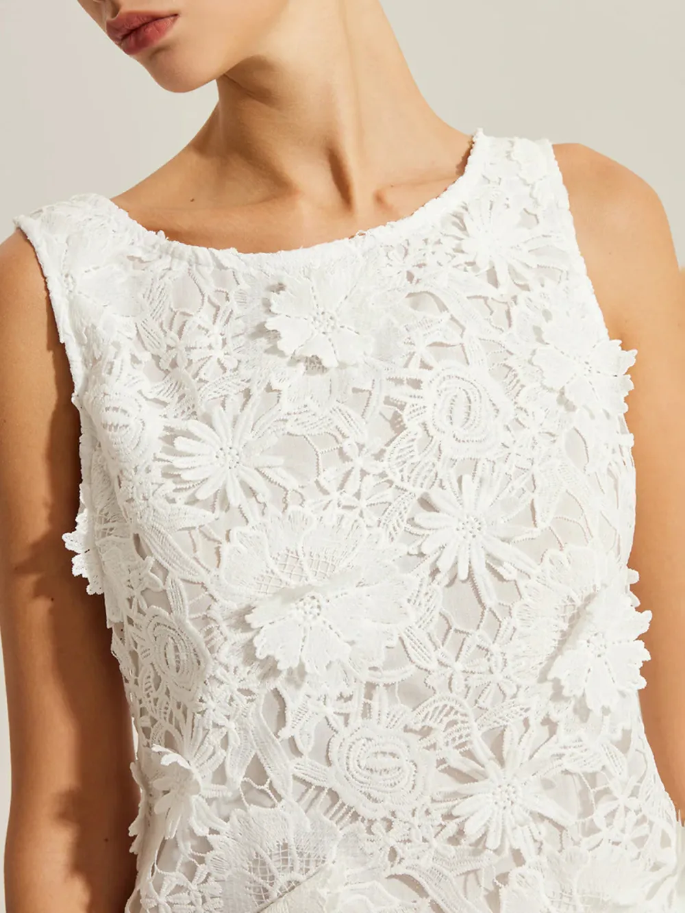 Lace Embroidered Crew Neck Dress