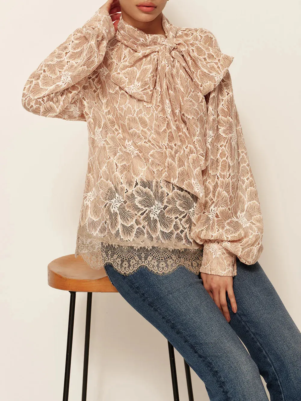 Lace Tie Neck Lantern Sleeve Blouse