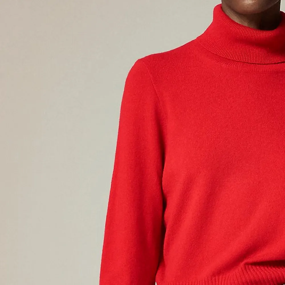 Cashmere shrunken turtleneck sweater