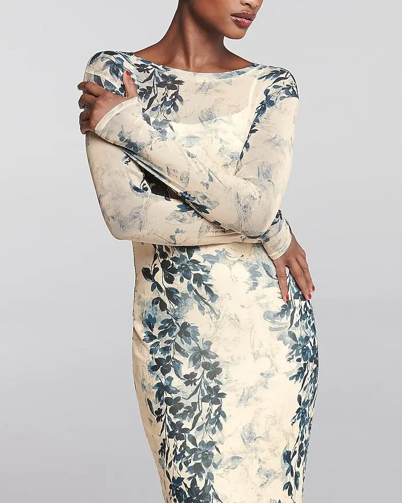 Printed Mesh Crew Neck Long Sleeve Maxi Dress