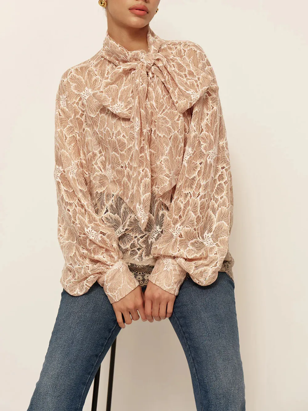 Lace Tie Neck Lantern Sleeve Blouse