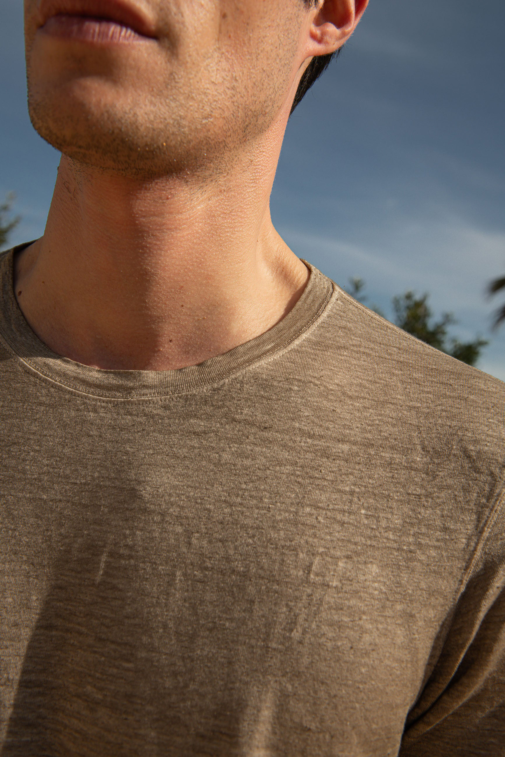 Taupe Linen T-Shirt